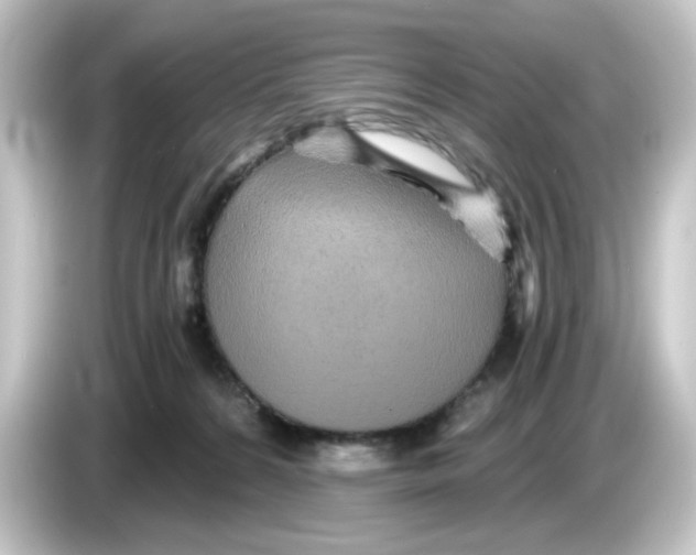 X0000084550224200703161652