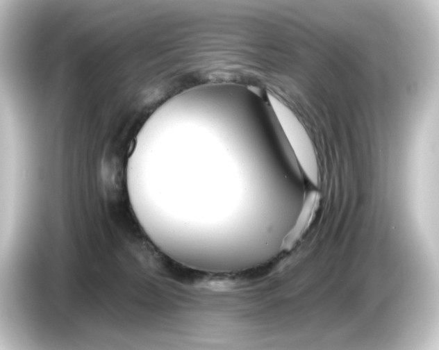 X0000084550228200703161652