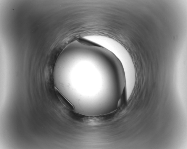 X0000084550229200703161652