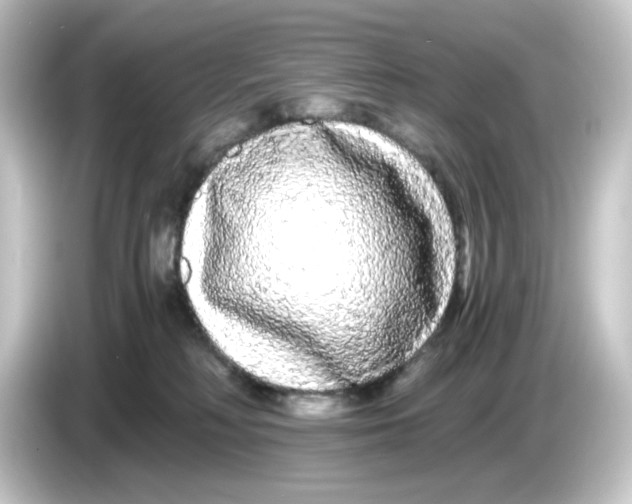 X0000084550230200703161652