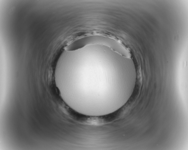 X0000084550231200703161652