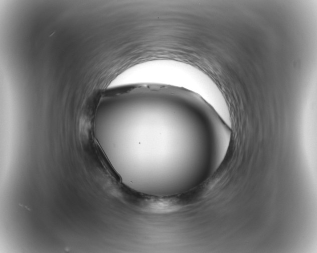 X0000084550235200703161652