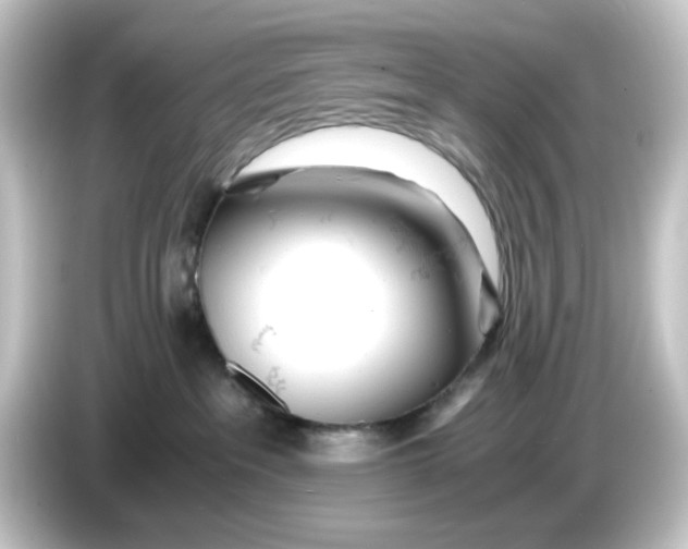 X0000084550237200703161652