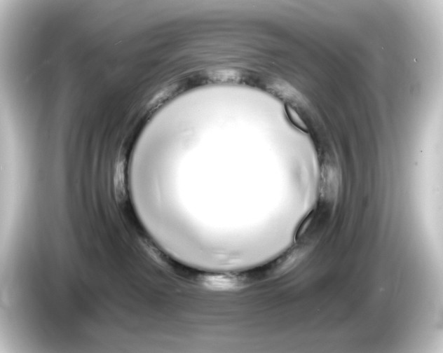 X0000084550238200703161652