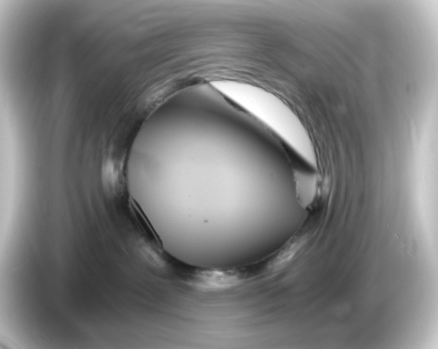 X0000084550239200703161652