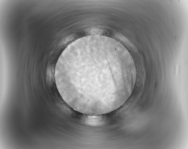 X0000084550240200703161652