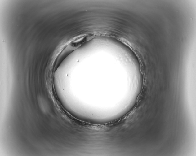 X0000084550241200703161651