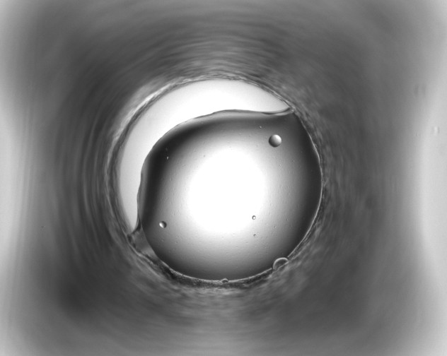 X0000084550242200703161651