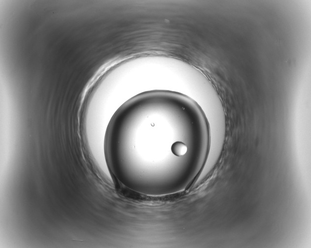 X0000084550244200703161651