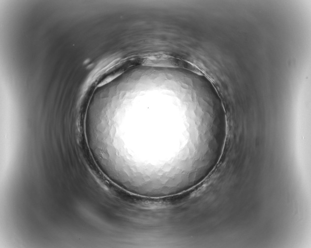 X0000084550245200703161651