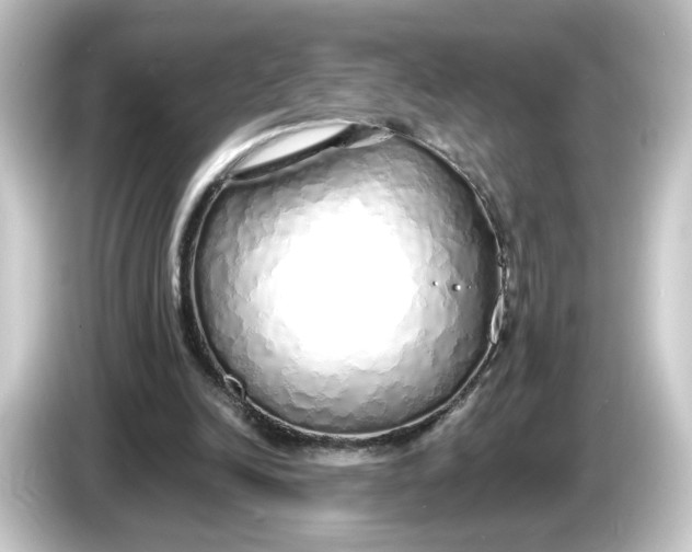 X0000084550246200703161651