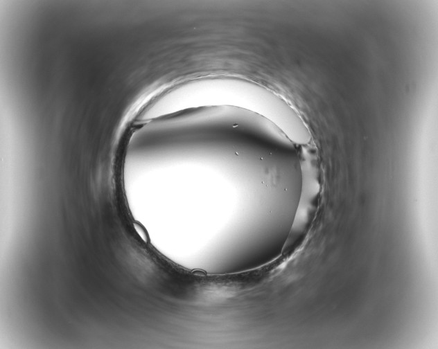 X0000084550248200703161651