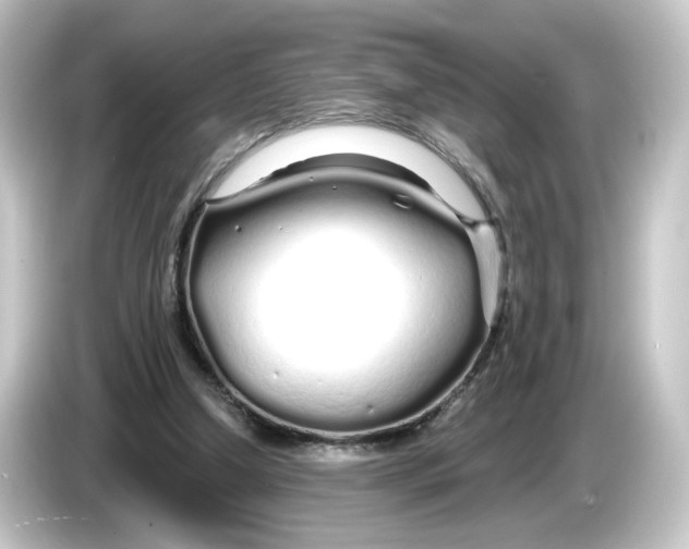 X0000084550250200703161651