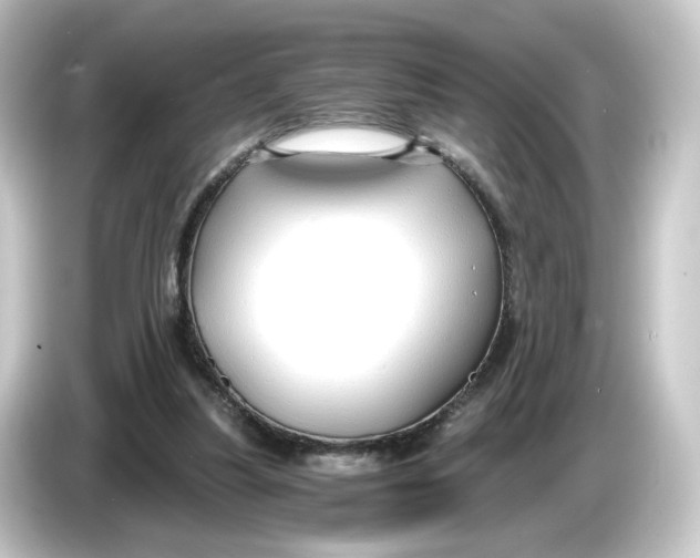 X0000084550251200703161651