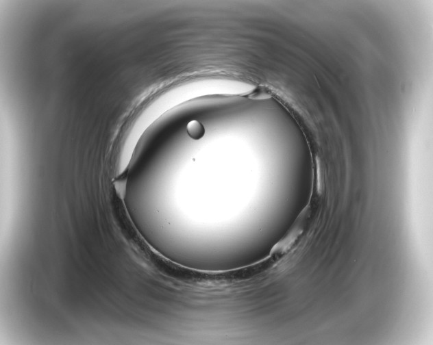 X0000084550252200703161651