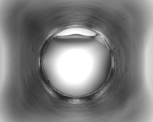 X0000084550253200703161651