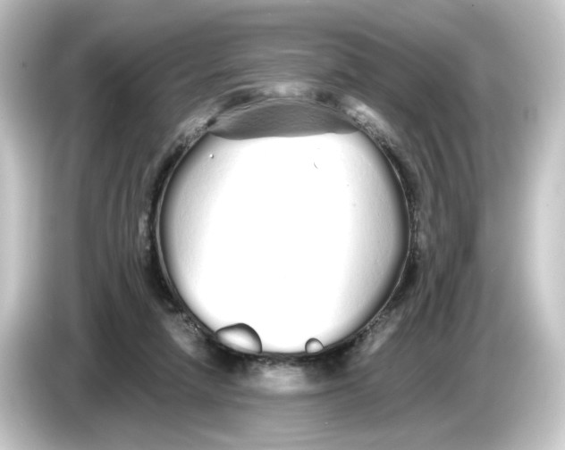 X0000084550258200703161651