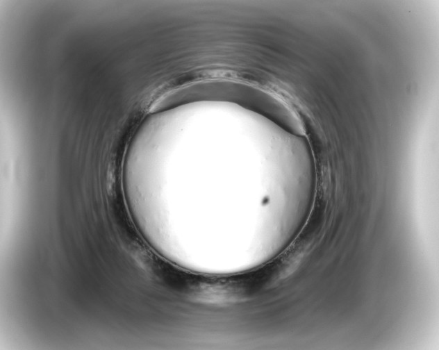 X0000084550259200703161651