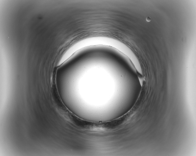 X0000084550262200703161652