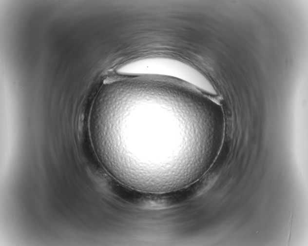 X0000084550263200703161652