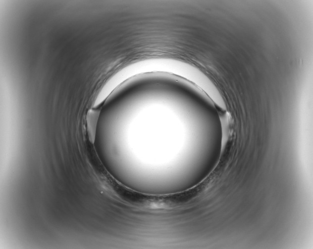 X0000084550264200703161652