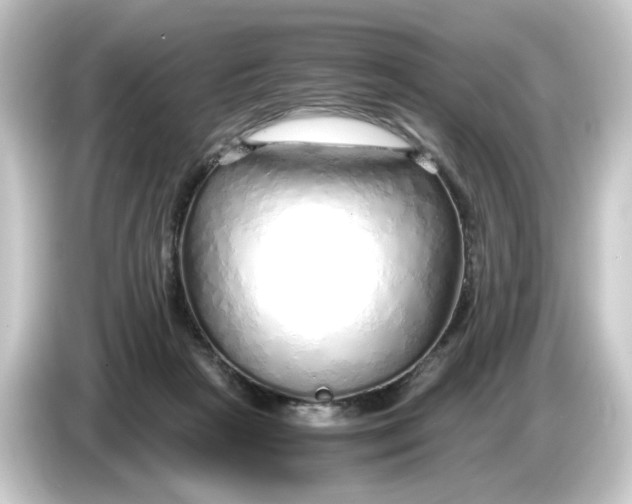 X0000084550265200703161652