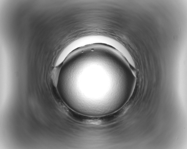 X0000084550266200703161652