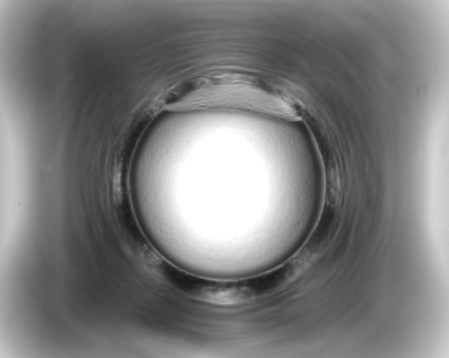 X0000084550267200703161652