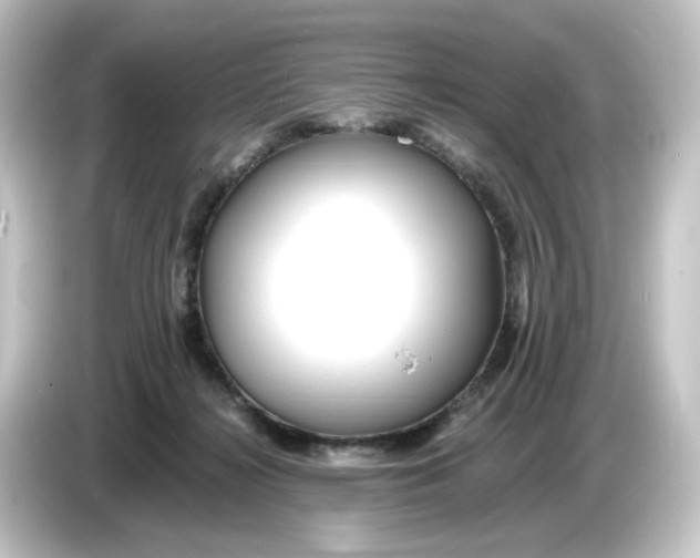 X0000084550268200703161652