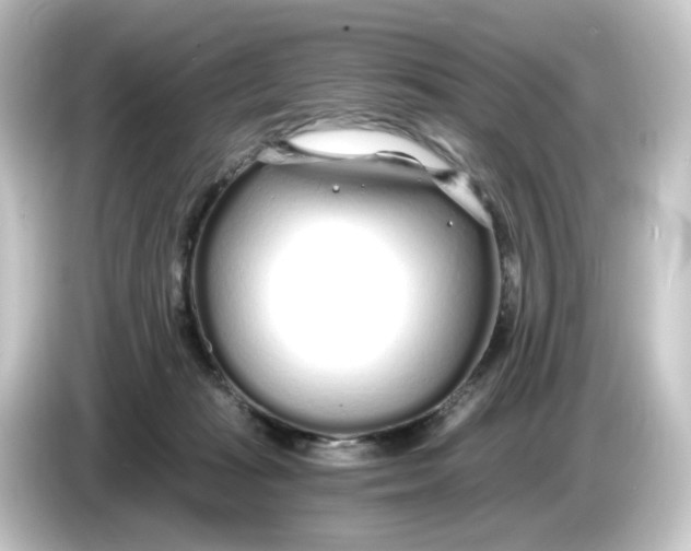 X0000084550269200703161652