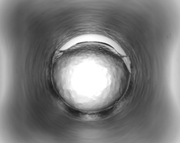 X0000084550270200703161652