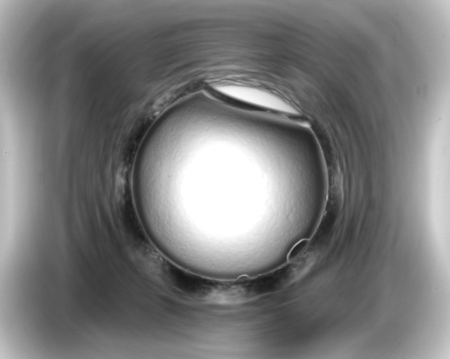 X0000084550271200703161652