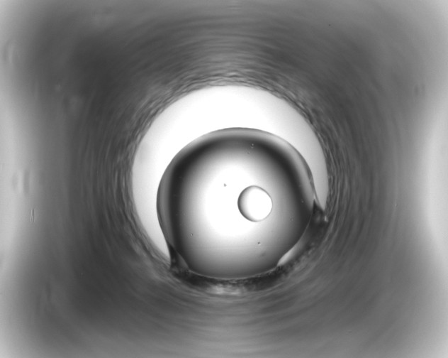 X0000084550272200703161652