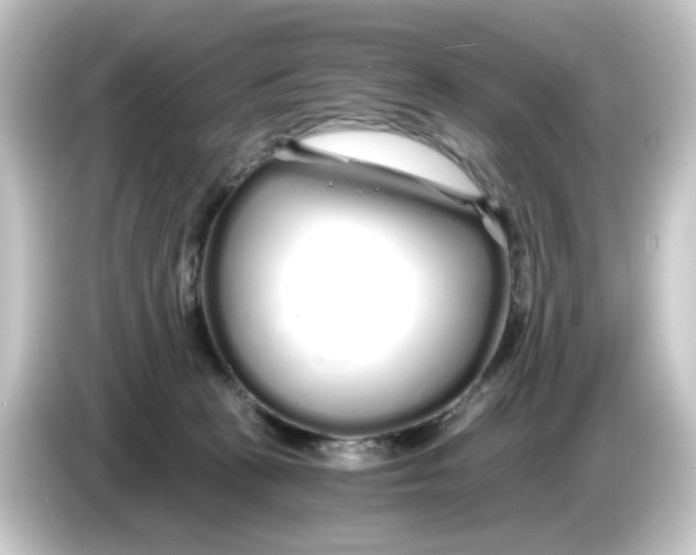 X0000084550273200703161652