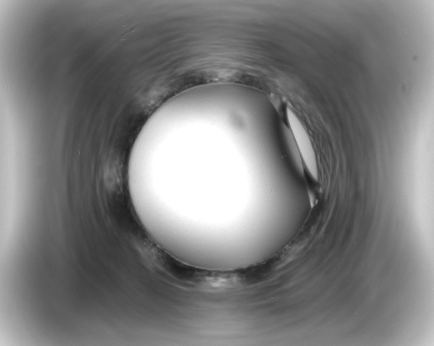 X0000084550274200703161652