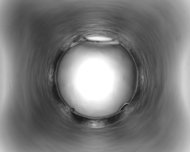 X0000084550275200703161652