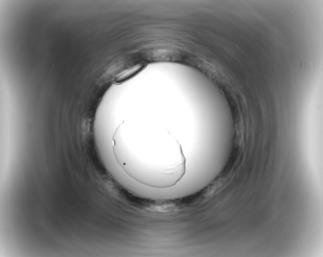 X0000084550278200703161652