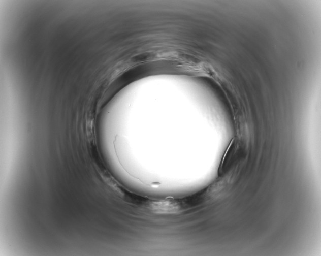 X0000084550281200703161652