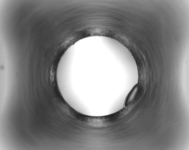 X0000084550282200703161652