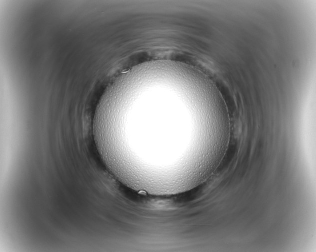 X0000084550283200703161652