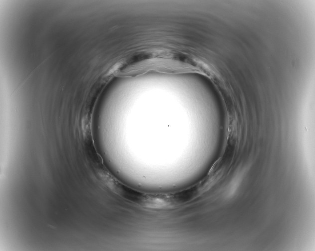 X0000084550285200703161652