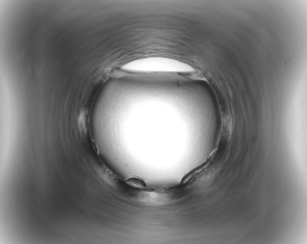 X0000084550286200703161652