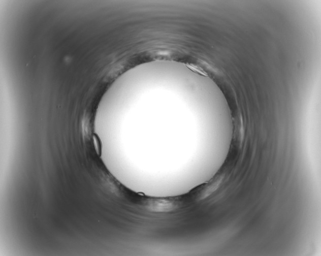 X0000084550287200703161652