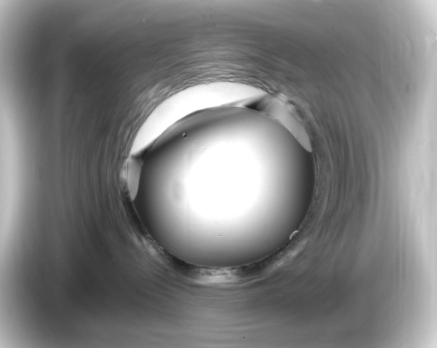 X0000084550288200703161652