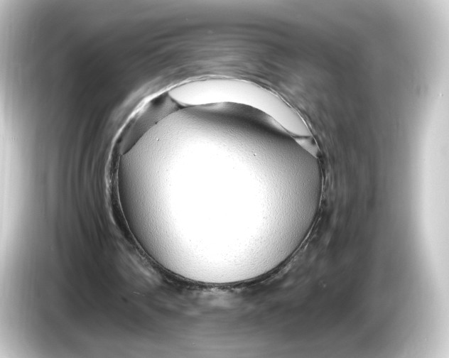 X0000084550290200703161651