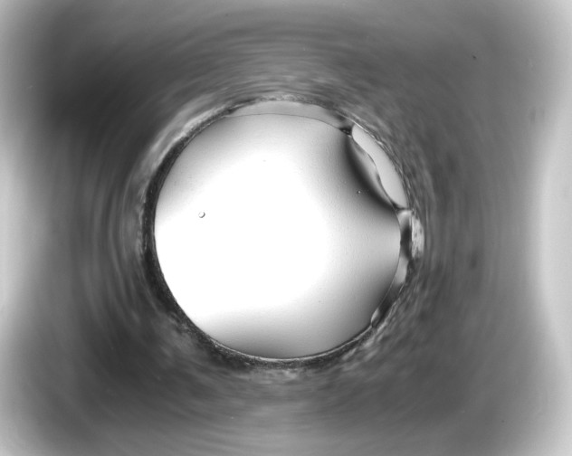 X0000084550291200703161651