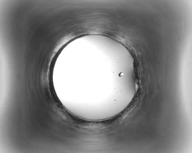 X0000084550292200703161651