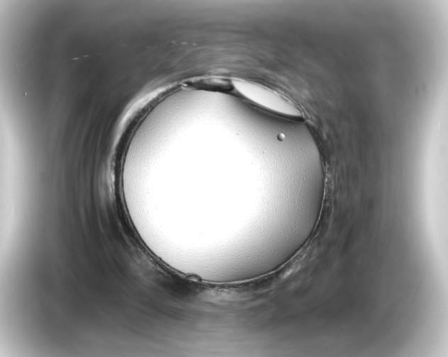 X0000084550294200703161651