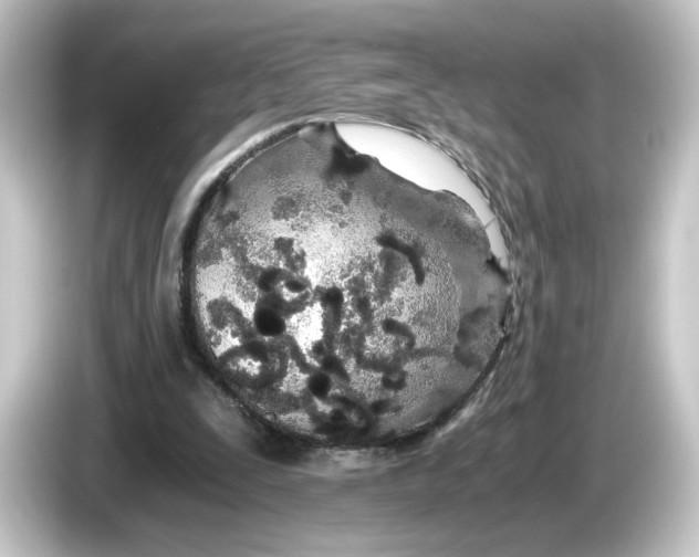 X0000084550295200703161651