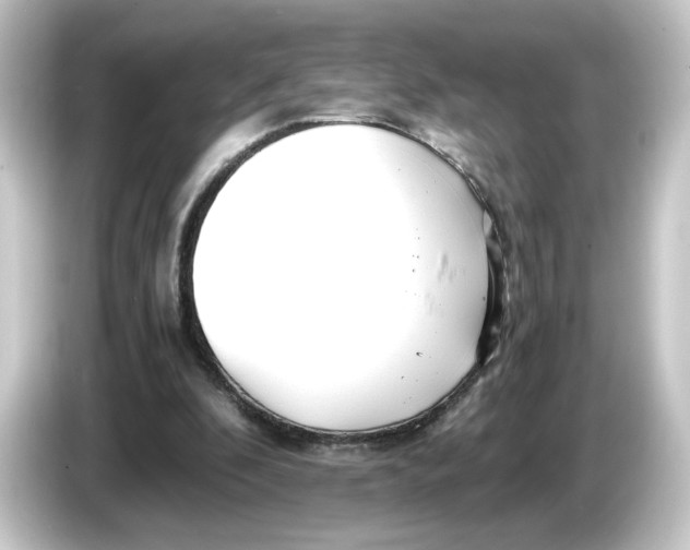 X0000084550296200703161651